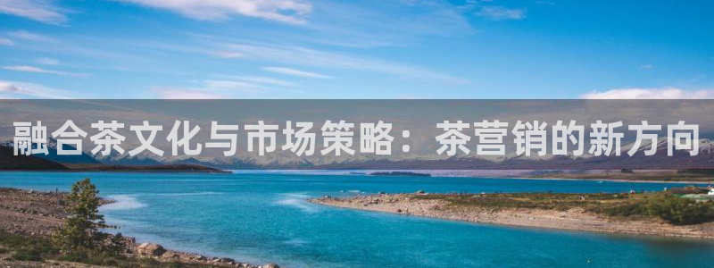 必赢网址手机主页