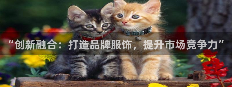 必赢国际是什么：“创新融合：打