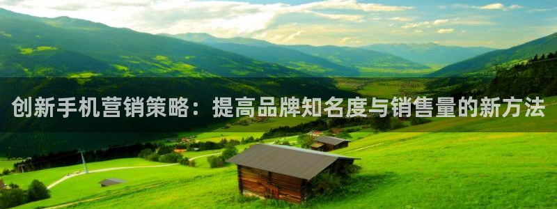 必赢官网网站首页下载：创新手机