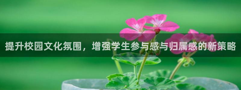 必赢集团网站是什么