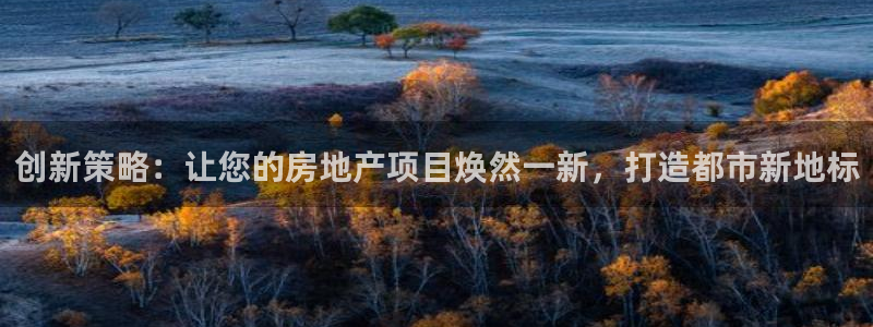 必赢网站是哪一个公司的