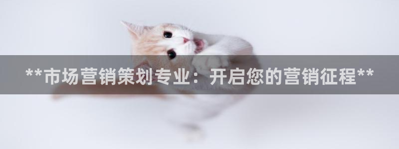 必赢官网网站首页下载