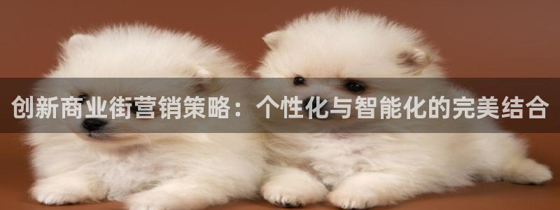 必赢亚赢网站官网下载安卓手机：